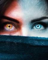 MS Photography avatar