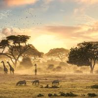 Stefan Schneider avatar