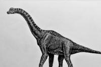 Danny the Dinosaur Drawer