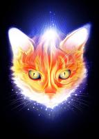 DianeStephensGUAO avatar