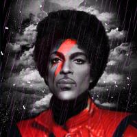 LizSilvergreen avatar