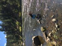 Natural Traveler avatar