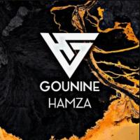 Hamza Gounine avatar