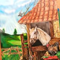 Diego Panchez avatar