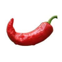 Sambel Pedes