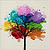 Nice Pictures