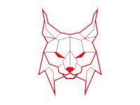 Digital Ranger avatar