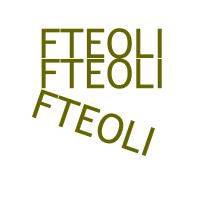FTEOLI Z. avatar