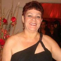fada vieira