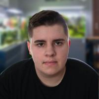 PachiAquarium avatar