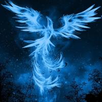 Maddison Brady avatar