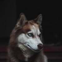 Phillippa Sullivan avatar