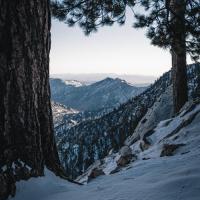 Jemimah Zavala avatar