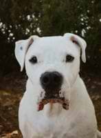 Robin MARCHAND avatar