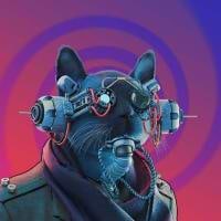 Victor Duarte avatar