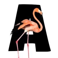 Treo Flamingo avatar
