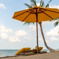 Tatiana Avery avatar