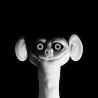 quentin LE GARREC avatar