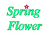 Spring Flower