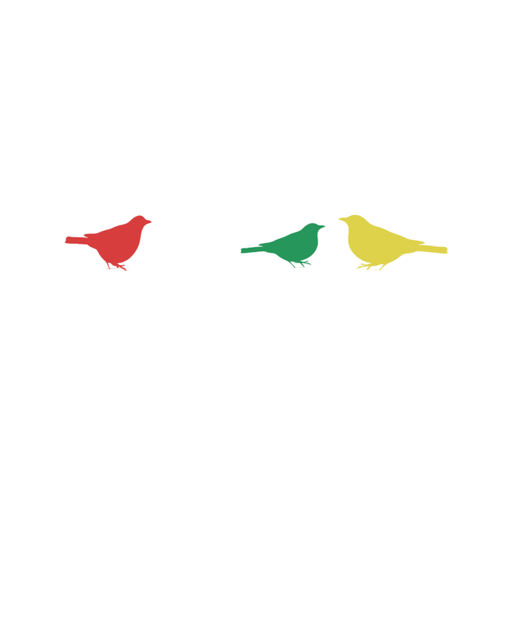 Carlo Speelmans avatar