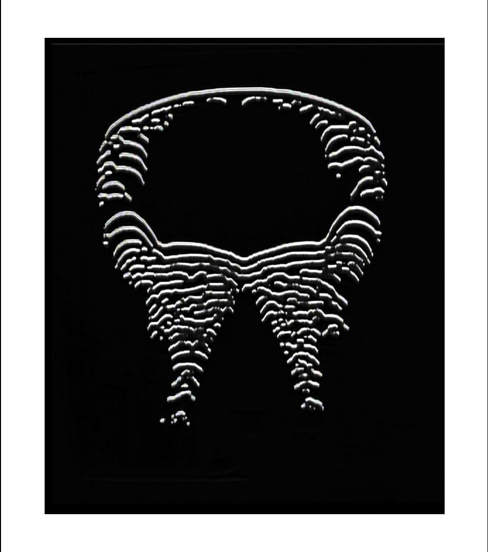 Francesco Scarel avatar