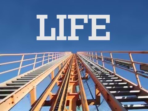 Ms Shenanigans avatar