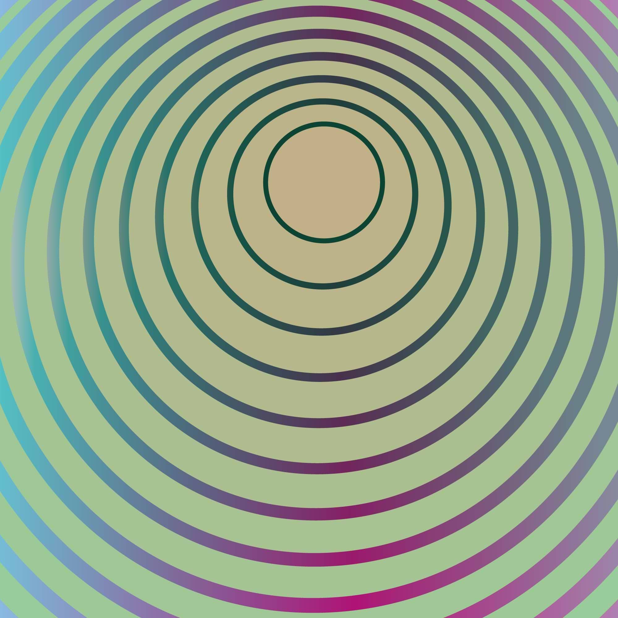 MOHAMMAD SEIKH JUNAID avatar