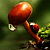 gepeng waras