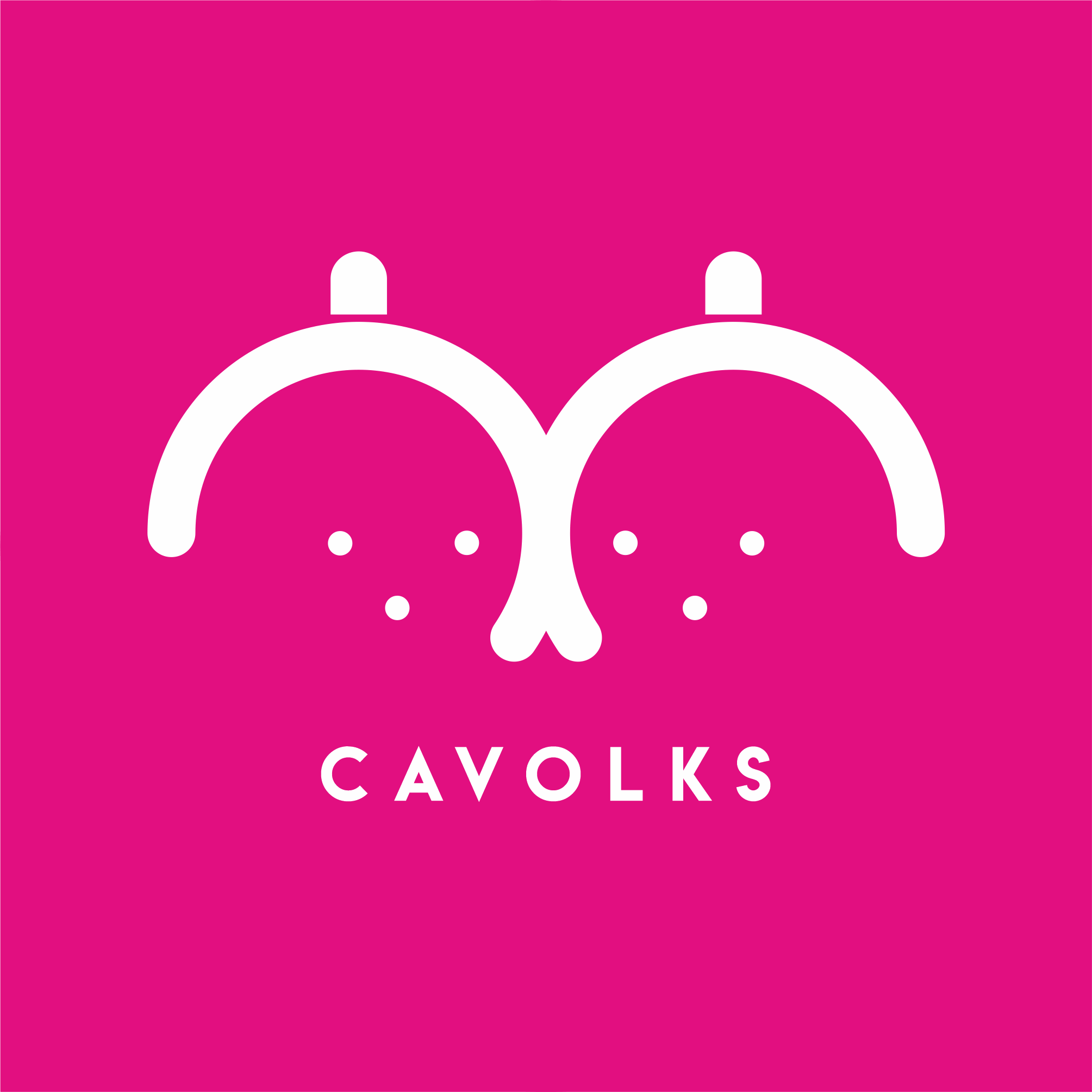 cavolks studio avatar