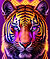 GraphicGrizzly