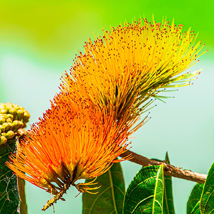 LaenderKalender avatar