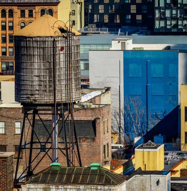 Cammina Photo avatar