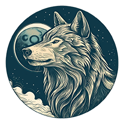 R C Wolfheart avatar