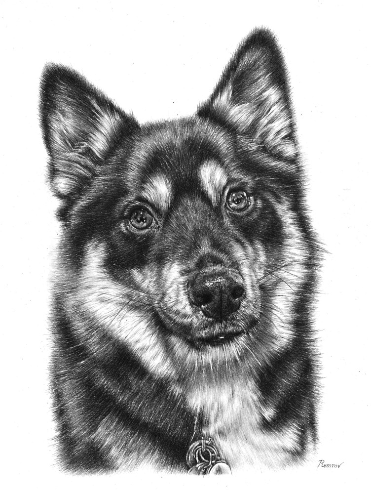 Casey Remrov Vormer avatar