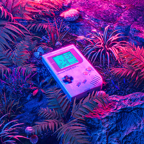 The Spawnisher avatar