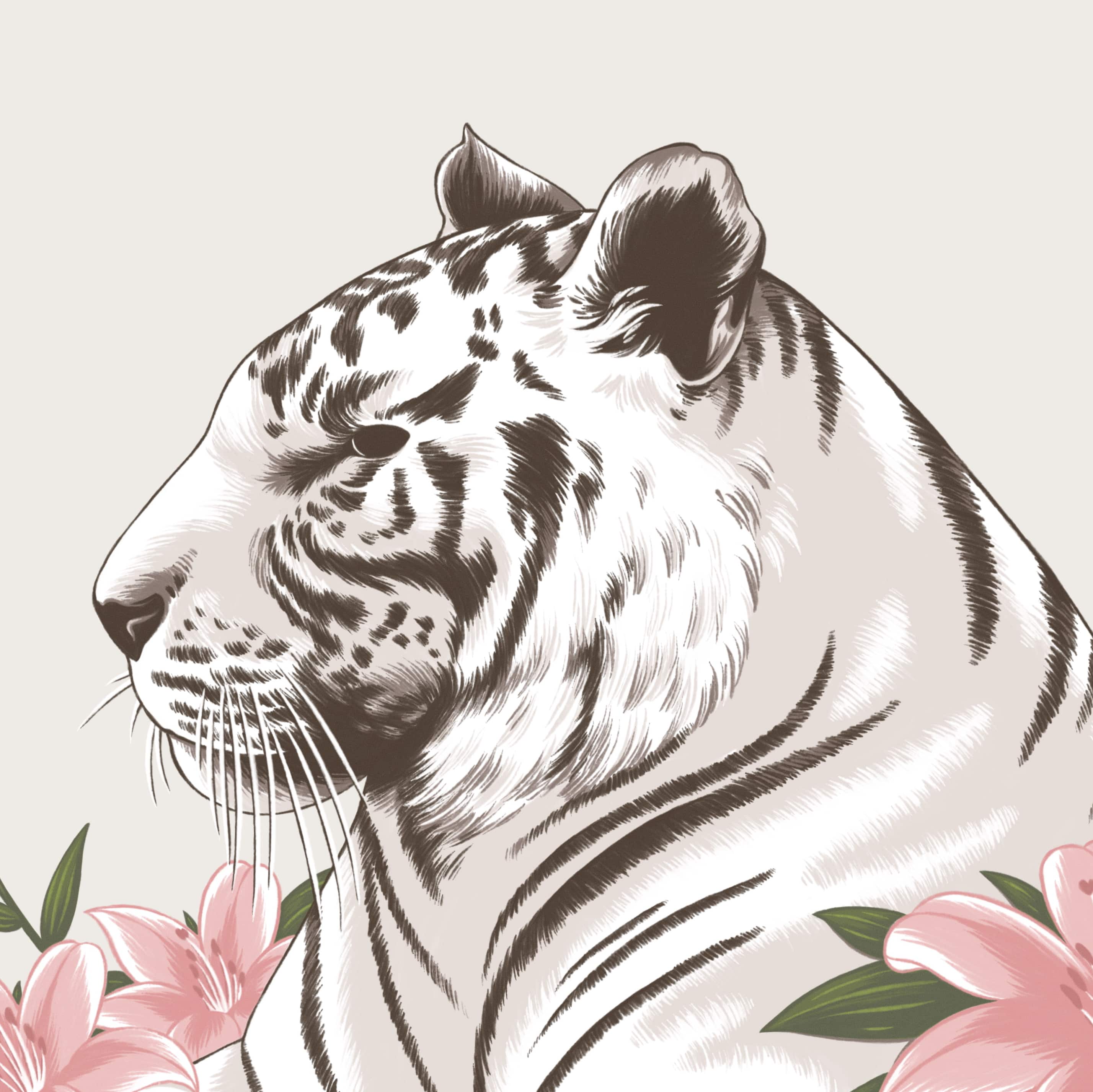 Chimerah Hanssen avatar