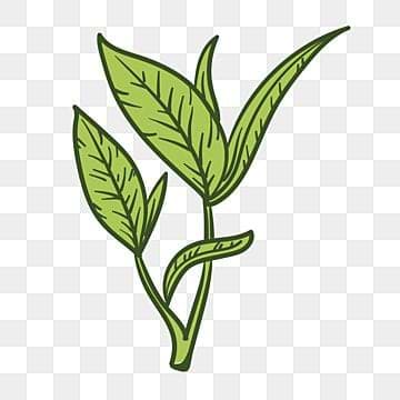 Jan flok Ethess avatar