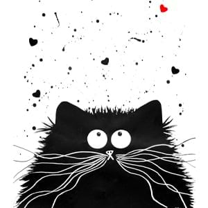 Kimberly Rolfson avatar