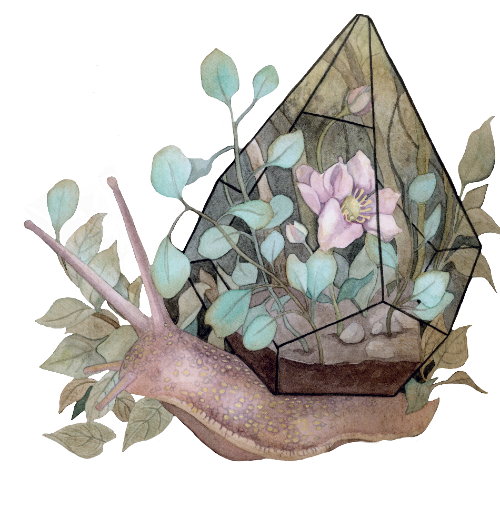 Ashley Wittling avatar