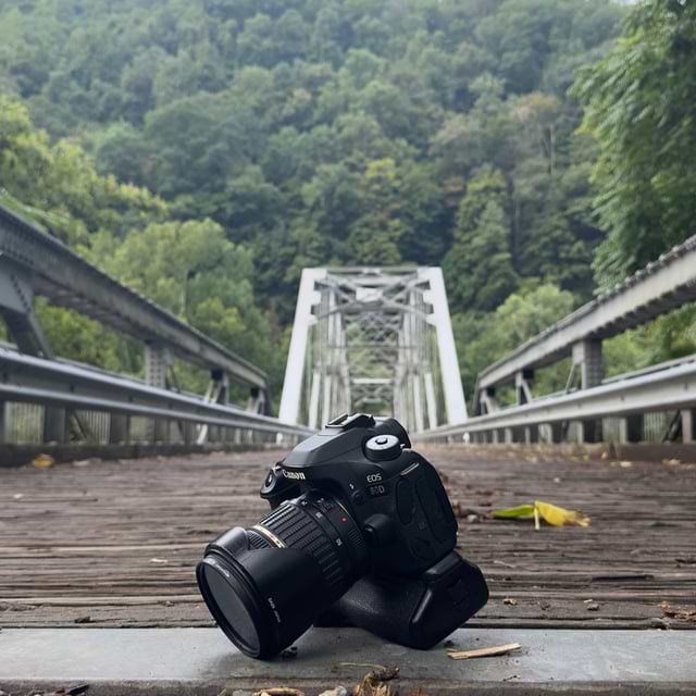 Logan Meadows avatar