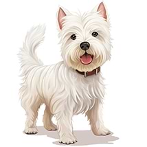 Charlotte DESIGN avatar