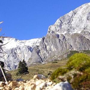 Great Posters avatar