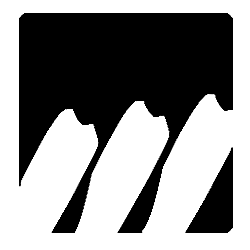 Marcel Mönch avatar