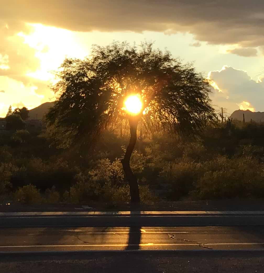 Intelligent Dilettante avatar