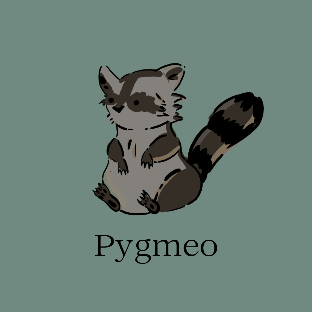 Aurora PYGMEO avatar