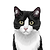 Sadhil Design
