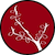 Marthe Sauret