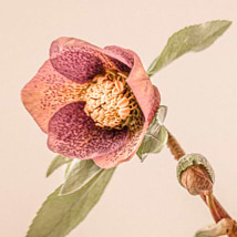 Katarzyna Mrozewska avatar