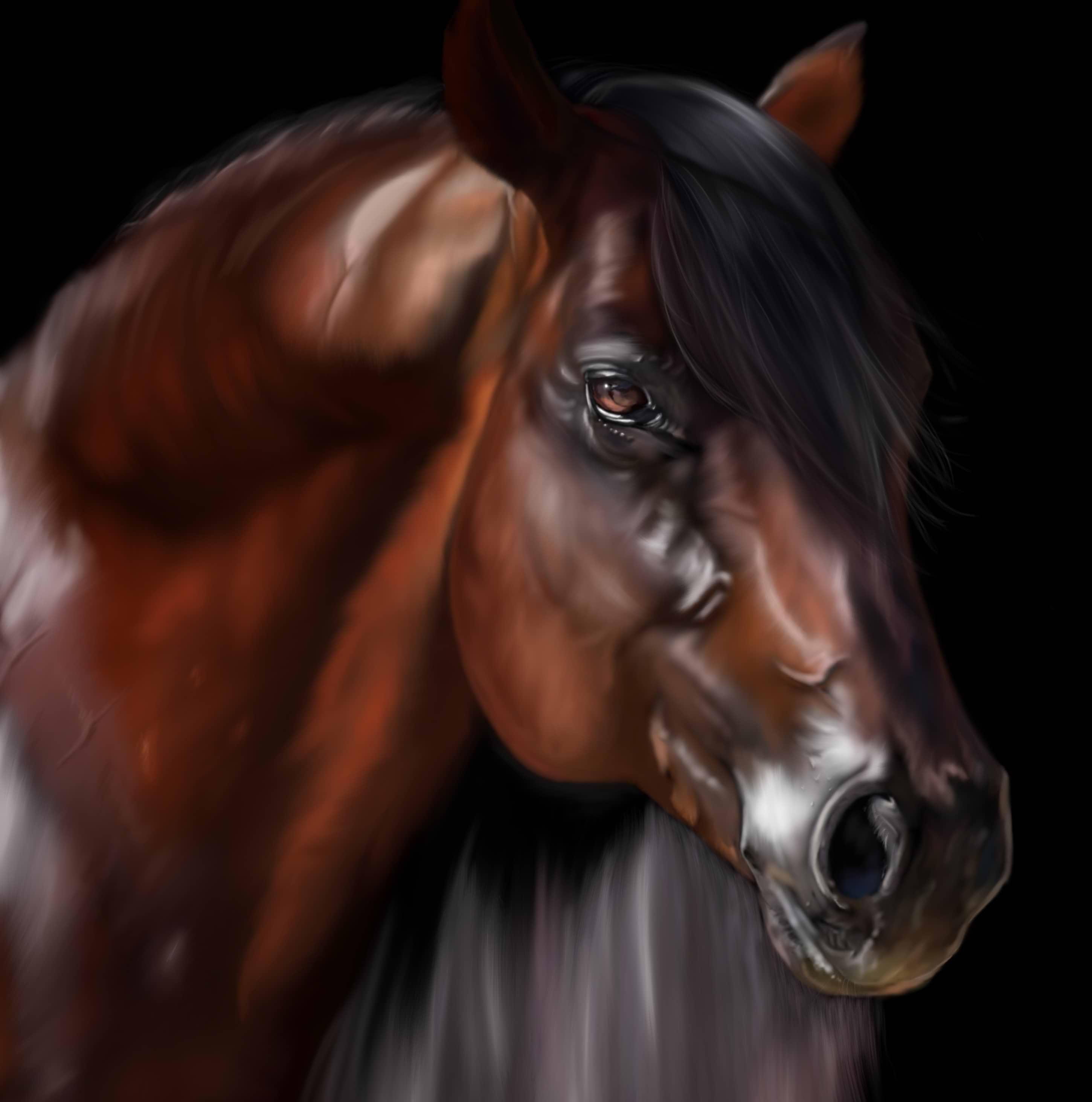 Marion Brocard avatar