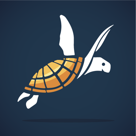 ChillinTurtles Team avatar